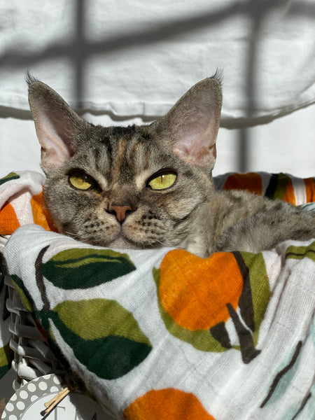 Mandarin Citrus Clementines Muslin Blanket - Vintage Baby Blanket