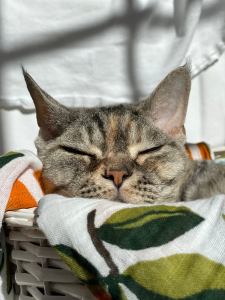 Mandarin Citrus Clementines Muslin Blanket - Vintage Baby Blanket