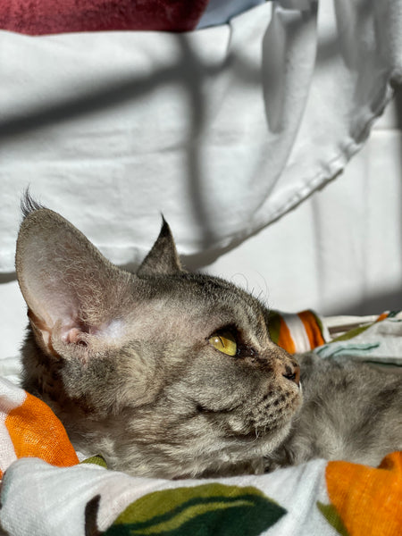 Mandarin Citrus Clementines Muslin Blanket - Vintage Baby Blanket